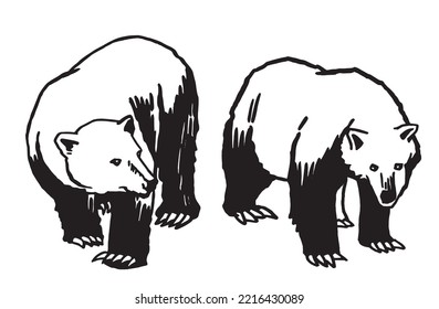 Graphical set of polar bears isolated on white background,vector illustration. Ink pen illustration