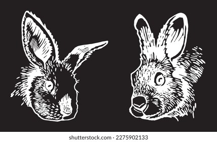 Graphical set of portraits of bunnies isolated on black,vector elements. Hand-drawn rabbits