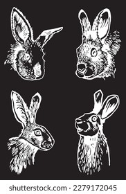 Graphical set of portraits of bunnies isolated on black,vector elements. Hand-drawn rabbits