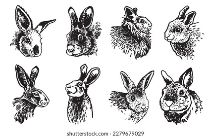 Graphical set of portraits of bunnies isolated on white,vector elements. Hand-drawn rabbits