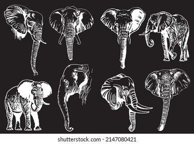 Graphical set of portraits of elephants isolated on black background,vector illustration for tattoo ,coloring and printing