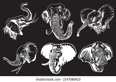 Conjunto gráfico de retratos de elefantes aislados en fondo negro, ilustración vectorial para tatuajes, coloreado e impresión