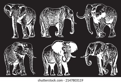 Graphical set of portraits of elephants isolated on black background,vector illustration for tattoo ,coloring and printing