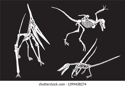 Graphical set of pterodactyl skeletons isolated on black ,vector illustration,tattoo.