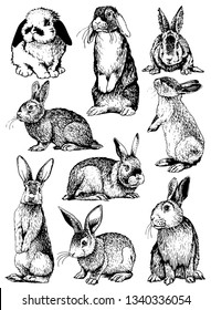 Graphical set of rabbits isolated on white background,vector illustration