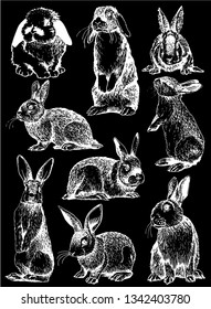 Graphical set of rabbits isolated on black background,vector illustration 