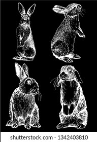 Graphical set of rabbits isolated on black background,vector illustration 