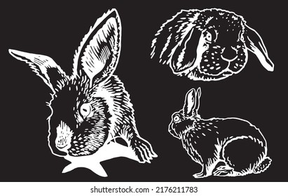 Graphical set of rabbits isolated on black background,vector engraved illustration