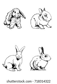Graphical set of  rabbits isolated on white background,vector