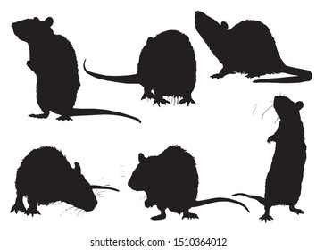 Graphical set of rat silhouettes isolated on white background,vector illustration