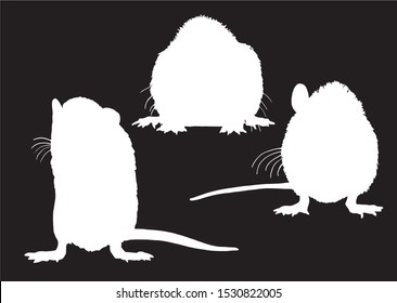 Graphical set of rat silhouettes isolated on black background,vector engraved  illustration	