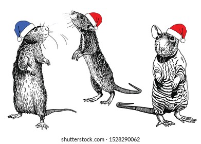 Graphical set of  rats in Santa Claus hat, symbol of new year,vector
