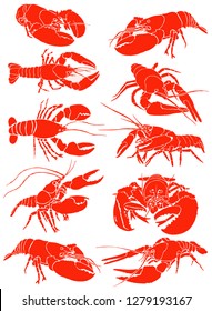 Graphical set of red lobsters isolated on white,vector sea-food illustration