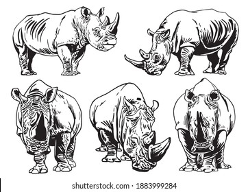 Graphical set of rhinoceroses on white background,vector elements