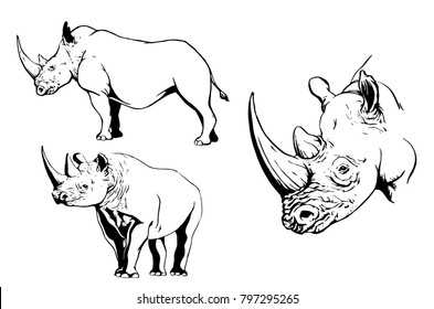 Graphical set of rhinos isolated on white background,vector illustration