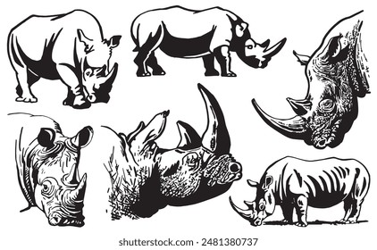 Graphical set of rhinos on white background, vector illustration