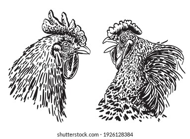 Graphical set of roosters isolated on white background,vector