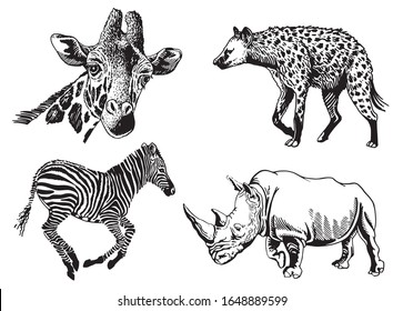 Conjunto gráfico de animales de sabana aislados en fondo blanco, ilustración vectorial