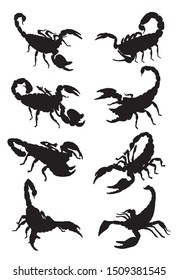 Graphical set of scorpion silhouettes  isolated on white background,vector illustration