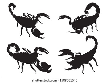 Graphical set of scorpion silhouettes  isolated on white background,vector illustration