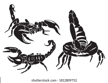 Graphical  set of scorpions isolated on white background,vector illustration for tattoo and design
