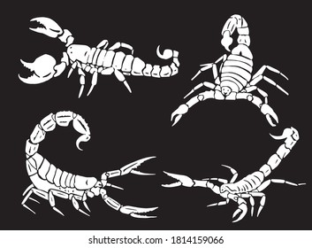 Graphical set of scorpions isolated on black, vector engraved illustration