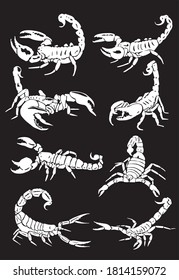 Graphical set of scorpions isolated on black, vector engraved illustration