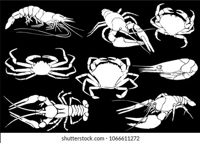 Graphical set of sea food isolated on black background,vector shrimp,lobster and crab