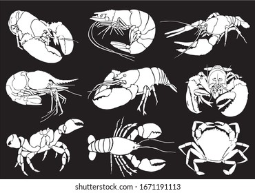 Graphical  set of sea-food isolated on black background, vector engraved illustration