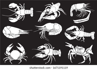 Graphical  set of sea-food isolated on black background, vector engraved illustration