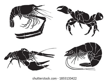 Graphical set of sea-food isolated on white background, vector illustration, marine life