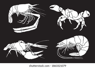 Graphical set of sea-food isolated on black background, vector illustration, marine life