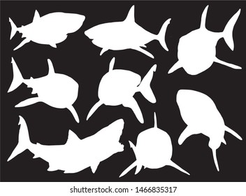 Graphical set of shark silhouettes isolated on black , vector illustration