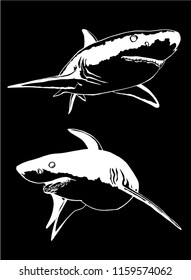 Graphical set of sharks isolated on black background, vector illustration