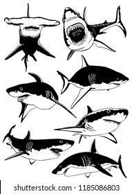 Graphical set of sharks isolated on white background,vector sketch  for tattoo and printing