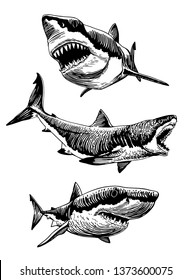 Graphical set of sharks isolated on white background,vector illustration for tattoo,coloring and printing