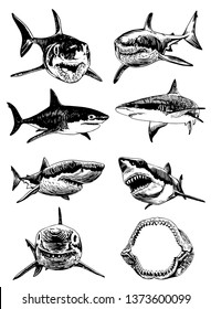Graphical set of sharks isolated on white background,vector illustration for tattoo,coloring and printing