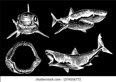 Graphical set of sharks isolated on black background,vector illustration for tattoo,coloring and printing 