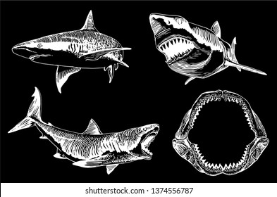 Graphical set of sharks isolated on black background,vector illustration for tattoo,coloring and printing 