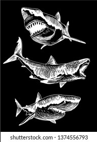 Graphical set of sharks isolated on black background,vector illustration for tattoo,coloring and printing 