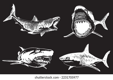 Conjunto gráfico de tiburones aislados en fondo negro, elementos vectoriales , gran tiburón blanco
