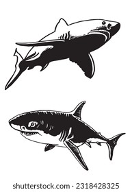 Graphical set of sharks isolated on white, great white sharks. Vector illustration