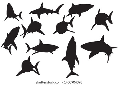 Graphical set of sharks silhouettes isolated on white background, vector illustration