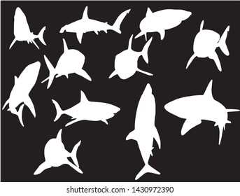 Graphical set of sharks silhouettes isolated on black background, vector illustration