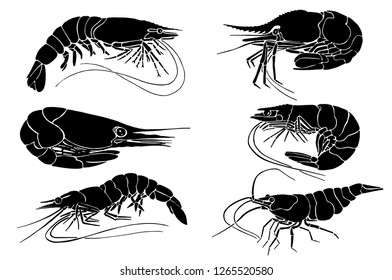 Shrimp Logo Images, Stock Photos & Vectors | Shutterstock