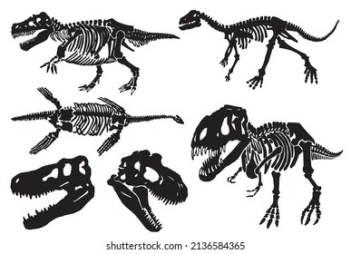 ティラノサウルス イラスト 骨 の画像 写真素材 ベクター画像 Shutterstock