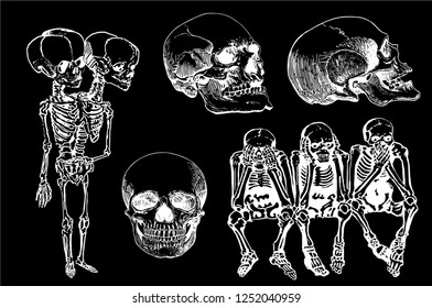 Graphical set of skeletons and human skulls isolated on black,vector sketch