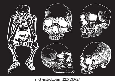 Graphical set of skeletons and human skulls isolated on black,vector engraved illustration. Human fossils. Anatomy