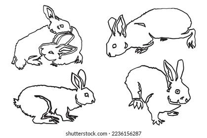 Graphical set of sketches of rabbits, doodle illustration bunny isolated on white. Bunny for coloring ,design