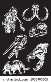 Graphical set of skulls of animals isolated on black background, vector elements,fossils	